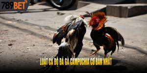 Luật Cá Độ Đá Gà Campuchia Cơ Bản Nhất